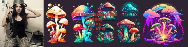 индика Медвежьегорск
