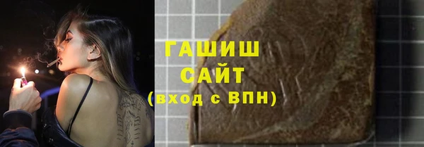 индика Медвежьегорск