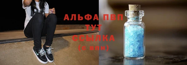 индика Медвежьегорск