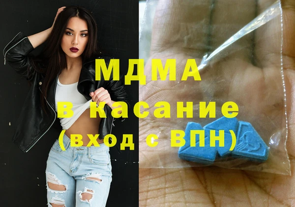 индика Медвежьегорск