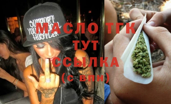 индика Медвежьегорск