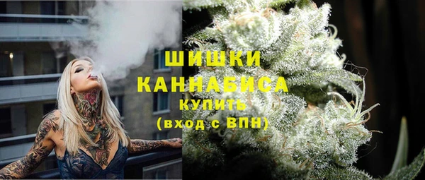МДПВ Мегион