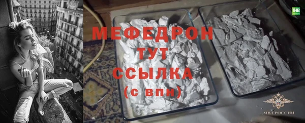 индика Медвежьегорск