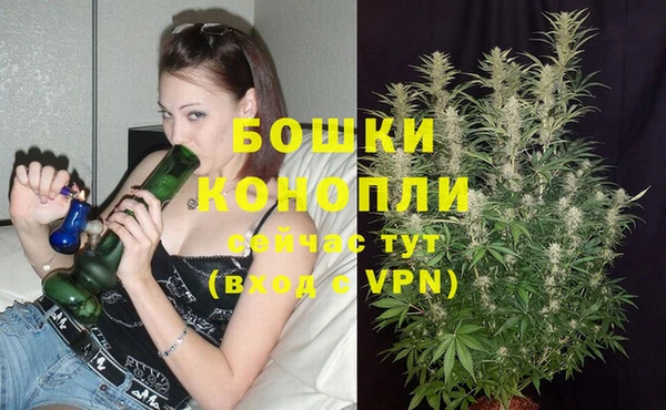 PSILOCYBIN Магадан