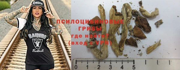 индика Медвежьегорск