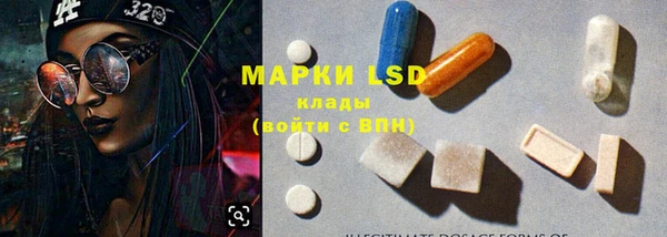 индика Медвежьегорск