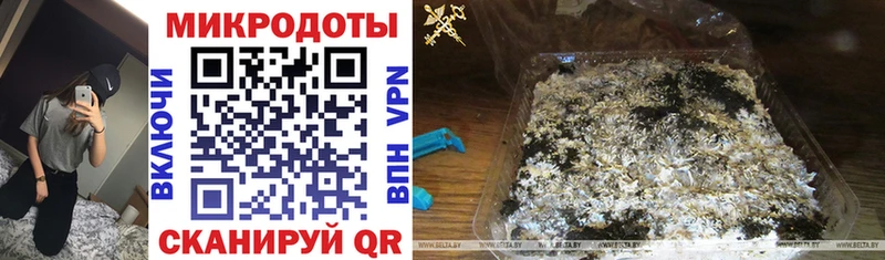 Псилоцибиновые грибы Cubensis  KRAKEN вход  Опочка 