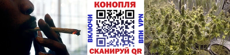 Каннабис семена  хочу наркоту  Опочка 